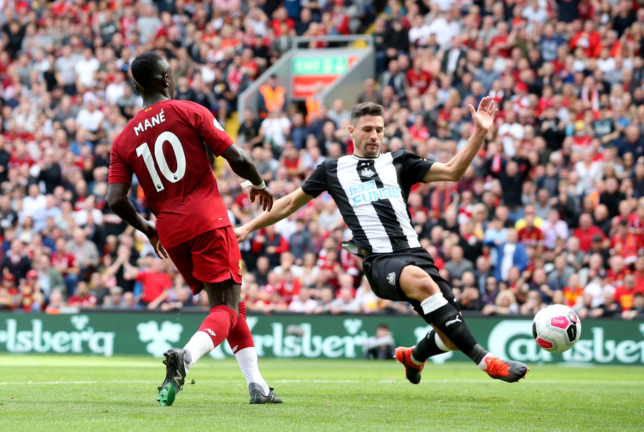 日本乒乓界 日本乒乓界